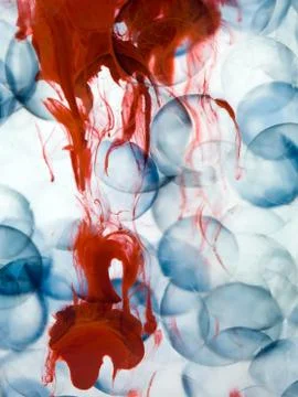 Cells with blue border transparent red paint dispersed in water Illustrazione stock