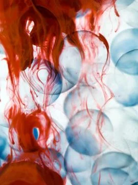 Cells with blue border transparent red paint dispersed in water Illustrazione stock
