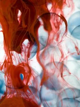 Cells with blue border transparent red paint dispersed in water Illustrazione stock