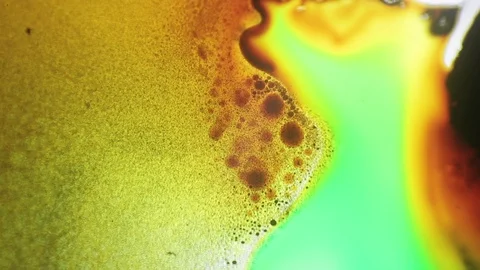 Cells, chemical reaction under microscope Stock-Footage 88742276