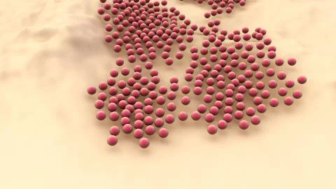 Cells Divide and Multiply Stock Illustration