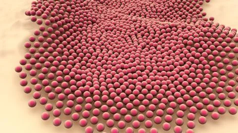 Cells Divide and Multiply Illustrazione stock