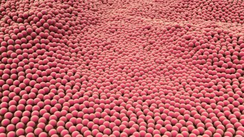 Cells Divide and Multiply Stock Illustration