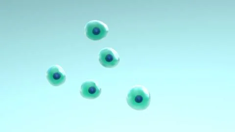 Cells Divide and Multiply Stock Illustration