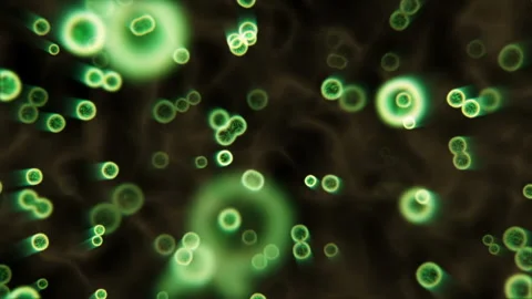 Cells dividing animation background Stockbeeldmateriaal 107011795