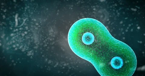 Cells Dividing on Electron Microscope hand camera motion cellular division Video stock 113614787