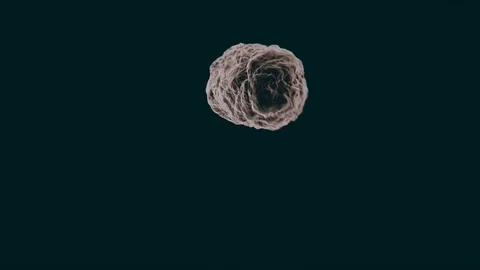 Cells dividing quickly. Stock Footage 75150095