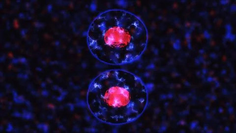 Cells division under the microscope Illustration