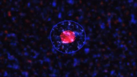 Cells division under the microscope Ilustración de archivo