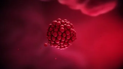 Cells Duplicating And Multiplying, At Extreme Magnification. Stock Footage 85041936