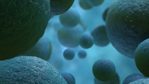 Cells Fly-through 01 Stock Footage 255444341