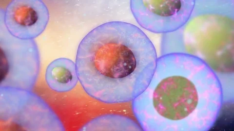 Cells 스톡 동영상 80864086