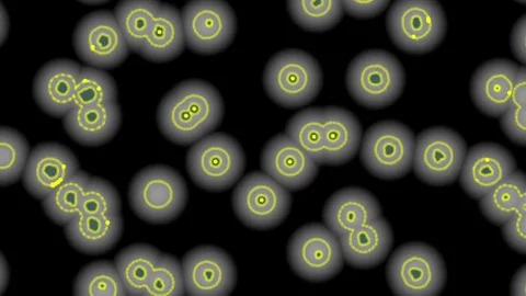 Cells Video stock 84980157