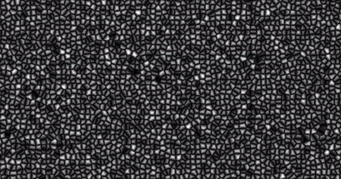 CELLS Fragments Stock-Footage 68818504