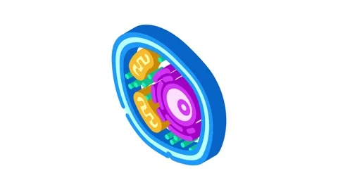 Cells genetic engineering isometric icon animation Stock Footage 327277086