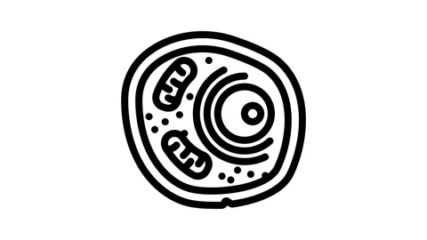 Cells genetic engineering line icon animation Stock Footage 326749142