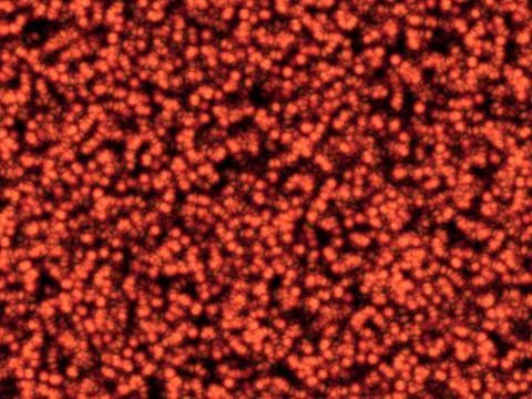 Cells Stock-Illustration