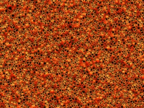 Cells Stock-Illustration