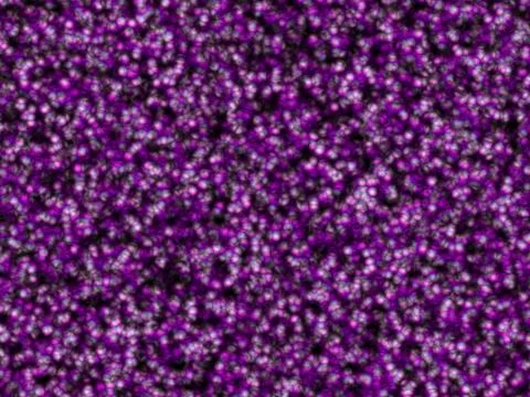 Cells 스톡 일러스트