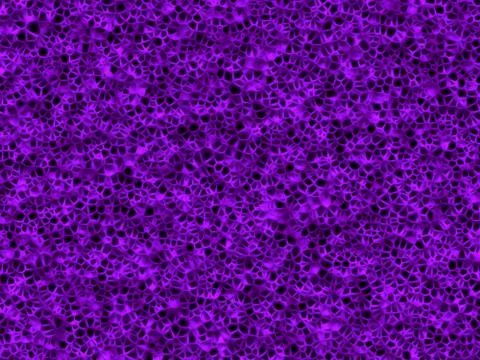 Cells Illustrazione stock