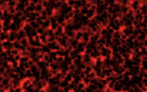 Cells Stock Illustration