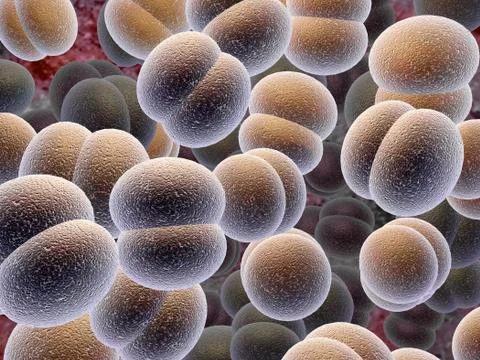 Cells. Stock Illustration