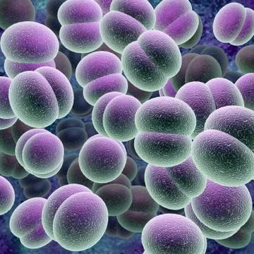 Cells. Stock Illustration