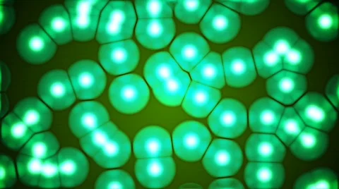 Cells life Stock Footage 186485