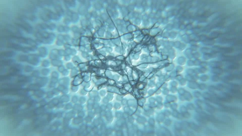 Cells in liqiuid under microscope close up macro view, human cells expansion Stock Footage 163277190