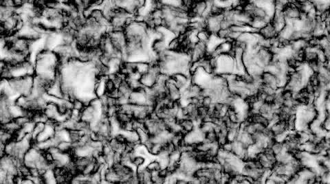 Cells Microscope Look 01 Stock Footage 10601046