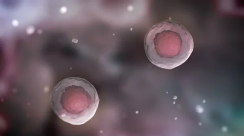 Cells Multiplied With Small Paricles. Depth of field. 4k Stock Footage 45706273