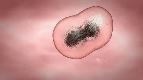 Cells multiplied with small paricles Stock Footage