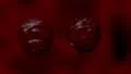 Cells multiplying bacteria virus blood under microscope red HD Footage