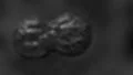 Cells multiplying bacteria virus blood under microscope 4K 4k or 4k+ Resolution