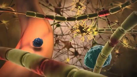 Cells in the nervous system Stock Illustration