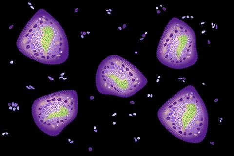 Cells or unicellular organisms vector pattern Stock Illustration