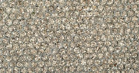 Cells with pebbles. Background texture pattern. Texture of floor view from above 写真素材