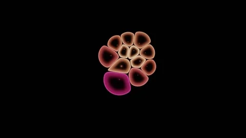 Cells Respond To A Chemical Gradient Across The Field Stock Footage 344512583