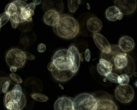 Cells science Loopable Background Stock Footage 316254
