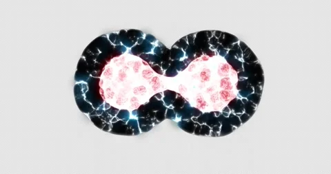 Cells separation process Stock Footage 242400049