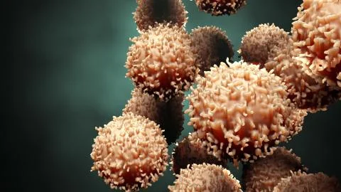 Cells under microscope Stock Illustration