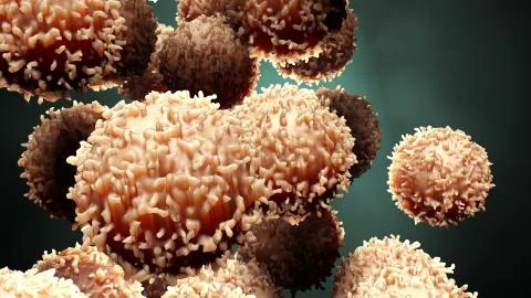 Cells under microscope Stock Illustration