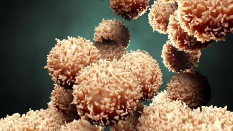 Cells under microscope Stock Illustration