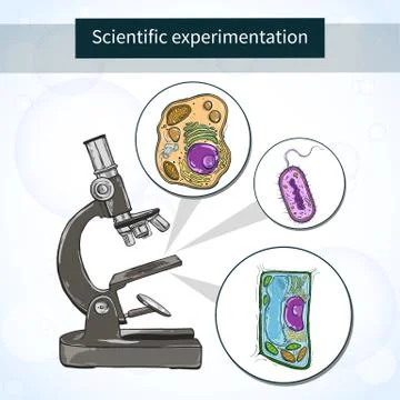 Cells under the microscope. Scientific laboratory Stock Illustration