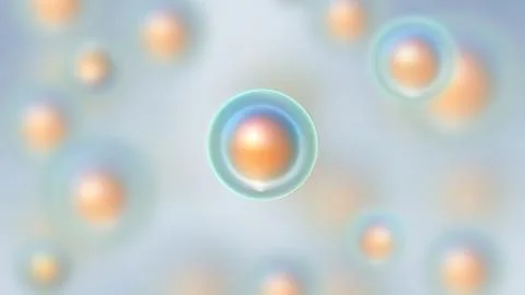 Cells Undergoing Mitosis, The Process Of Cell Division And Multiplication. Stock Illustration