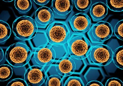 Cells view under a microscope. Stock Illustration