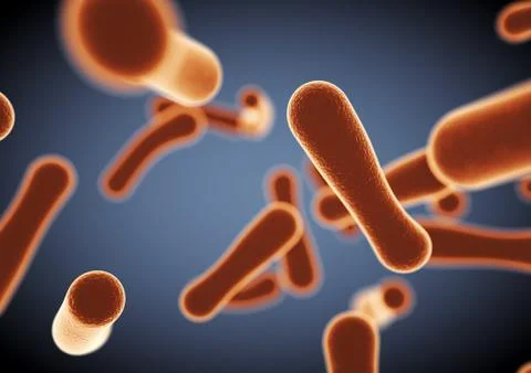 Cells view under a microscope. Stock Illustration