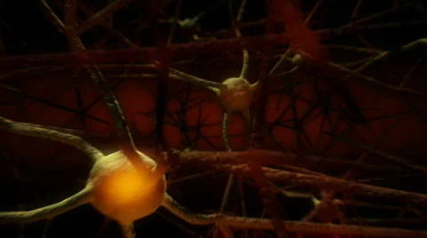 Cells1 glow hi Video stock 370557