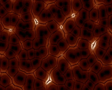 Cellular activity 库存影片 103825