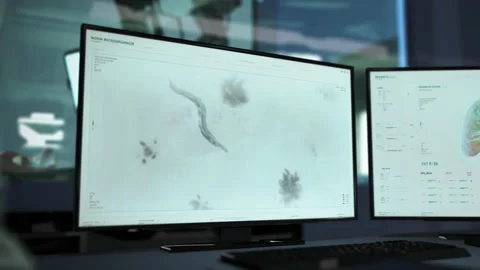 Cellular analysis of the parasite transmitting deadly disease at the laboratory Stock Footage 220047883